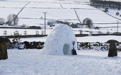 Snow Globe